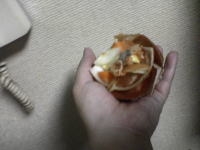 バイオミックスの効果 猫の尿臭を消す消臭剤の口コミ